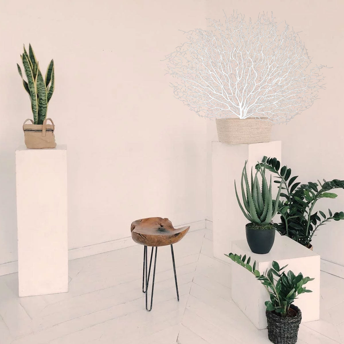 Home Office Interior Design - 1 pièce de branche de corail